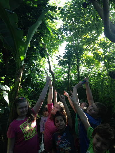 2016-17 3rd-5th grd at Botanical Garden and Geology Museum - Photo Number 1