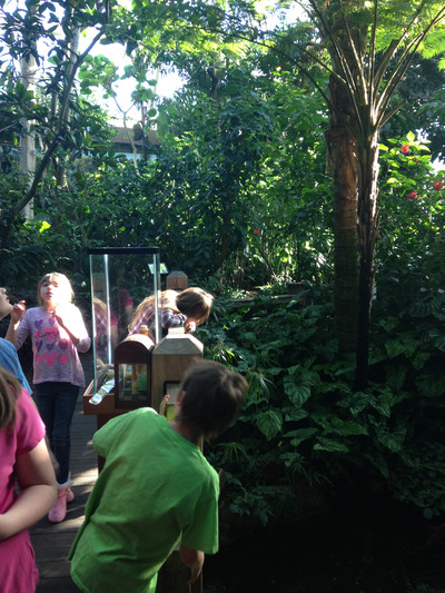 2016-17 3rd-5th grd at Botanical Garden and Geology Museum - Photo Number 9