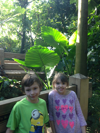 2016-17 3rd-5th grd at Botanical Garden and Geology Museum - Photo Number 10