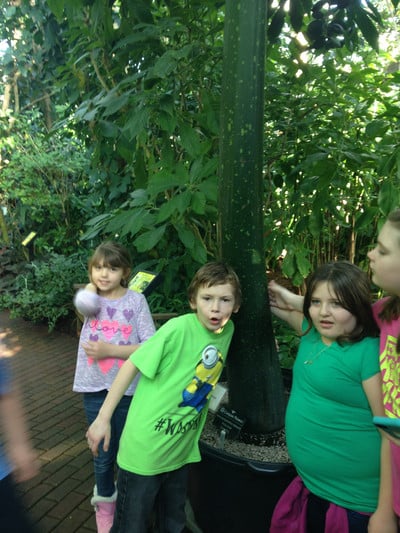 2016-17 3rd-5th grd at Botanical Garden and Geology Museum - Photo Number 3