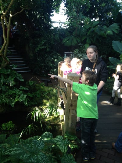 2016-17 3rd-5th grd at Botanical Garden and Geology Museum - Photo Number 11